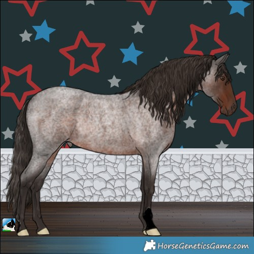 Horse Color:Liver Red Roan Rabicano