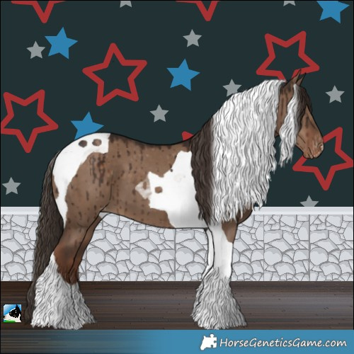 Horse Color:Liver Red Dun Tobiano Appaloosa Brindle