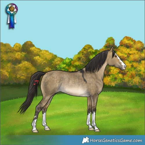 Horse Color:Buckskin Dun Rabicano