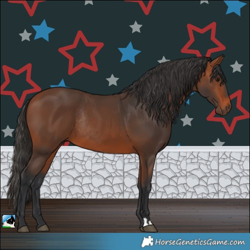 Horse Color:Bay Rabicano