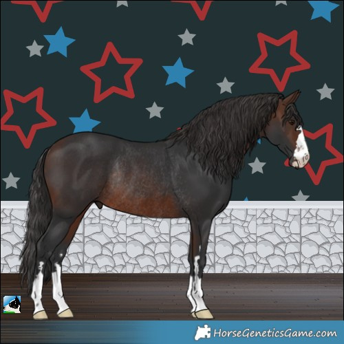 Horse Color:Brown Rabicano