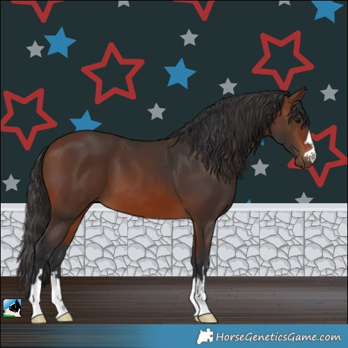 Horse Color:Brown 