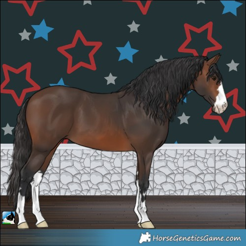Horse Color:Brown 