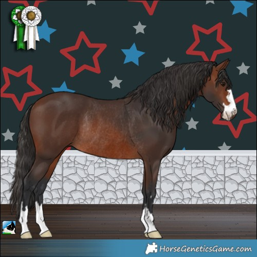Horse Color:Brown Rabicano