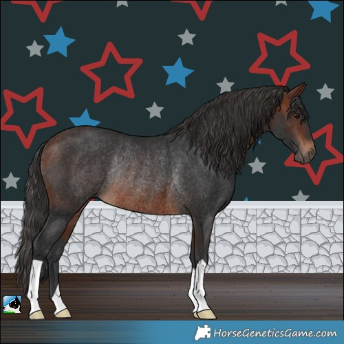 Horse Color:Brown Rabicano