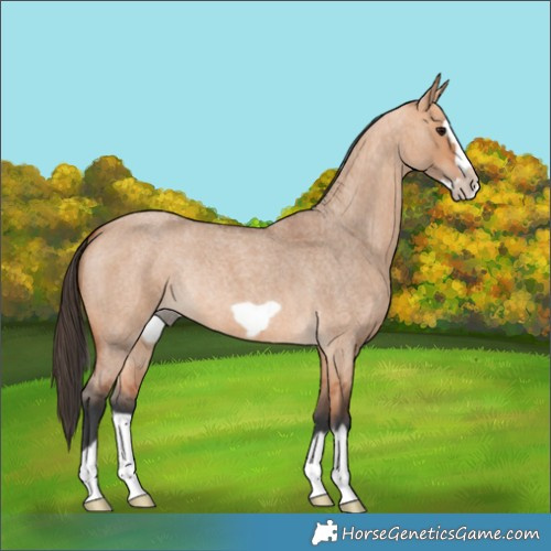 Horse Color:Bay Roan Dun Splash Frame Rabicano 