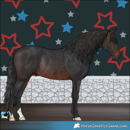 Horse Color:Brown Rabicano 
