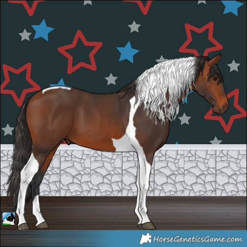 Horse Color:Bay Tobiano