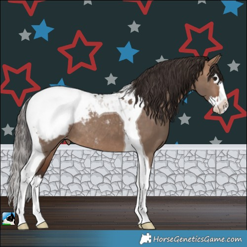 Horse Color:Bay Dun Splash Tobiano Appaloosa Rabicano