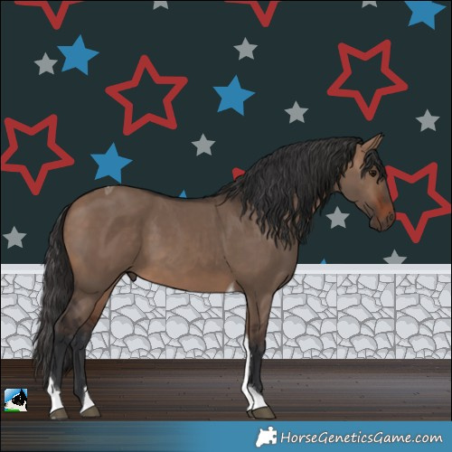 Horse Color:Brown Dun Tobiano Rabicano 