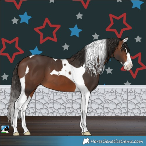 Horse Color:Brown Splash Tobiano Varnish