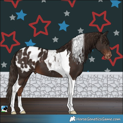 Horse Color:Liver Chestnut Tobiano Blanket