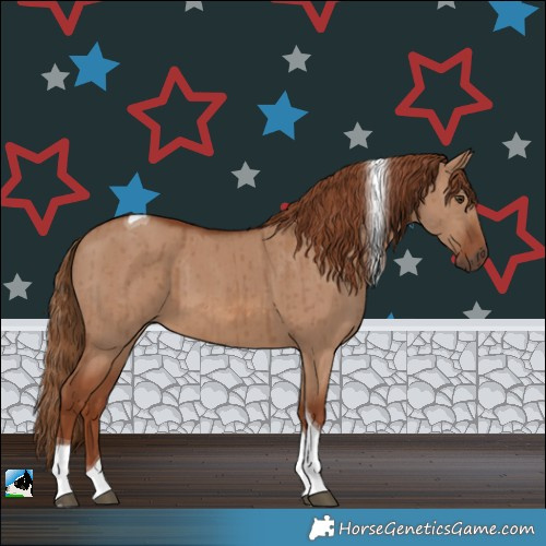 Horse Color:Red Dun Tobiano Brindle 
