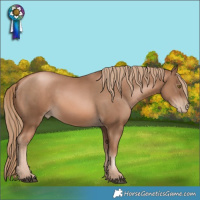 Horse Color:Liver Chestnut Pearl 