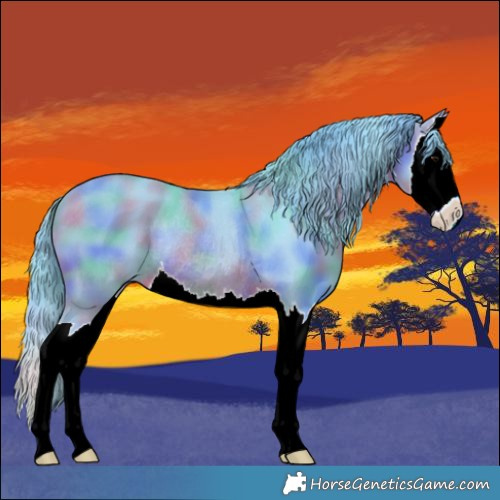 Horse Color:Nacre Watercolor Bay Splash Rabicano 
