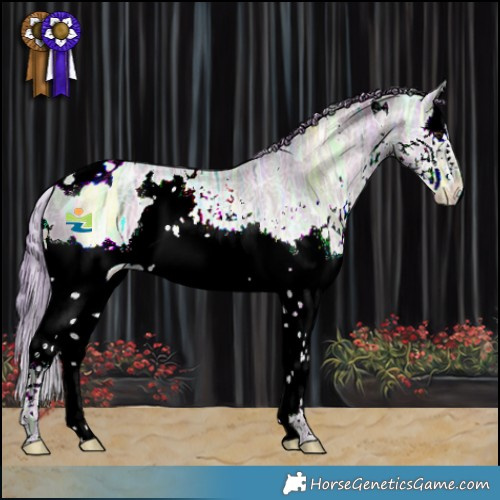 Horse Color:Watercolor White Spotted Grullo Ice Pearl Splash Rabicano 