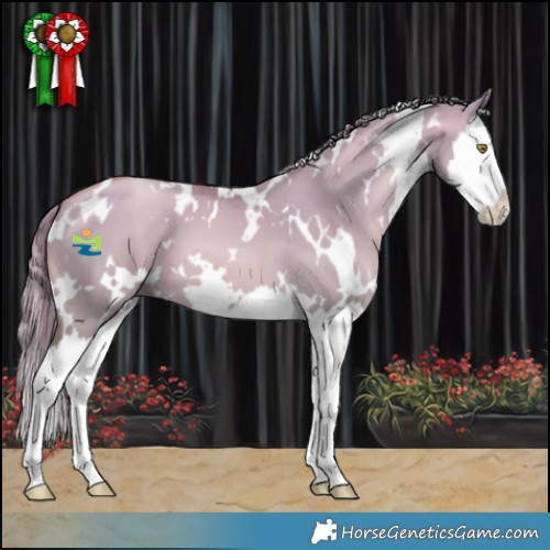 Horse Color:White Spotted Brown Pearl Dun Splash