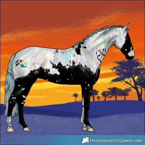 Horse Color:ERROR: UNKNOWN ANOMALY
