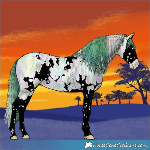 Horse Color:Nacre Watercolor White Spotted Bay Ice Dun Splash