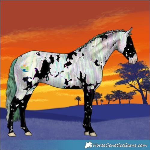 Horse Color:Nacre Watercolor White Spotted Bay Ice Dun Splash 