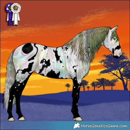 Horse Color:ERROR: UNKNOWN ANOMALY