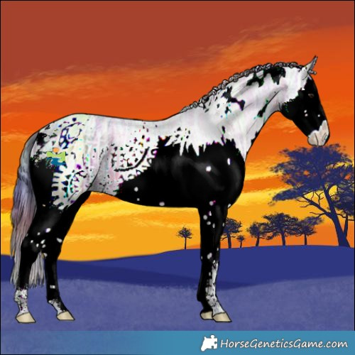 Horse Color:Nacre White Spotted Bay Ice Dun Splash 