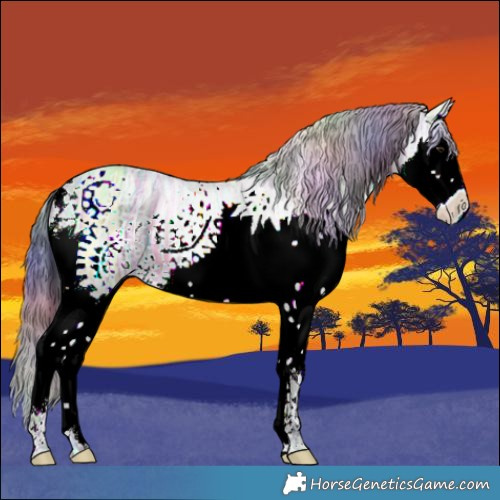 Horse Color:Nacre White Spotted Bay Ice Dun Splash