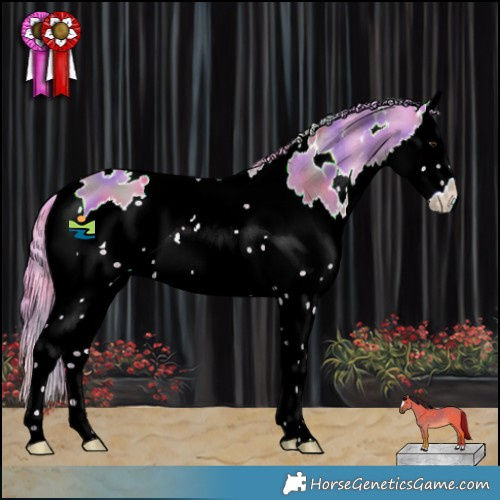 Horse Color:Nacre Watercolor White Spotted Brown Dun Splash 