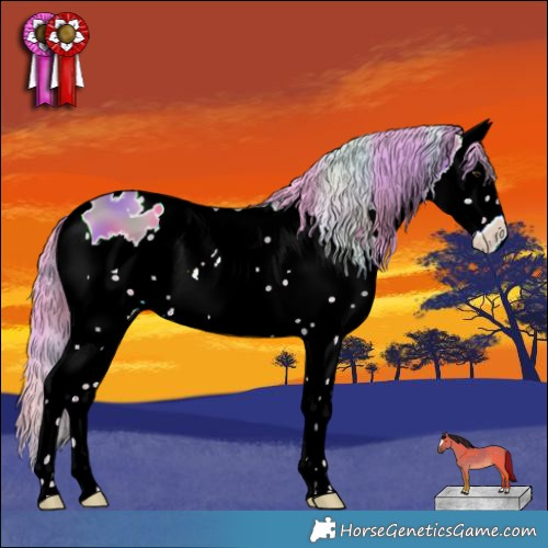 Horse Color:Nacre Watercolor White Spotted Brown Dun Splash