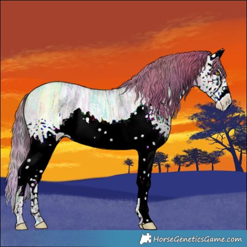 Horse Color:Nacre Bay Ice Pearl Dun Splash Rabicano