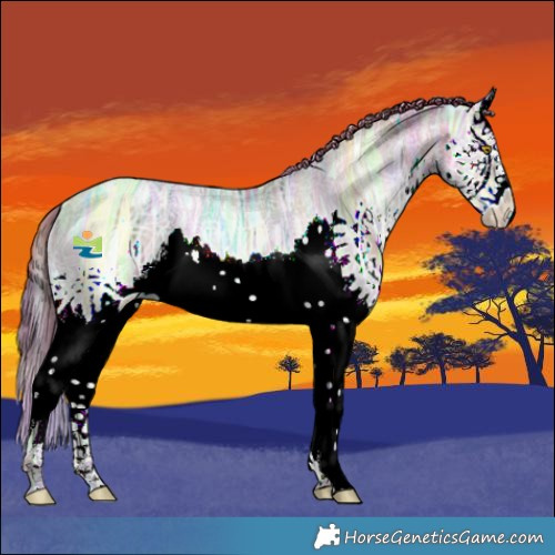 Horse Color:Nacre Bay Ice Pearl Dun Splash Rabicano