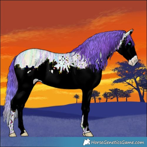 Horse Color:Nacre Watercolor Black Ice Splash