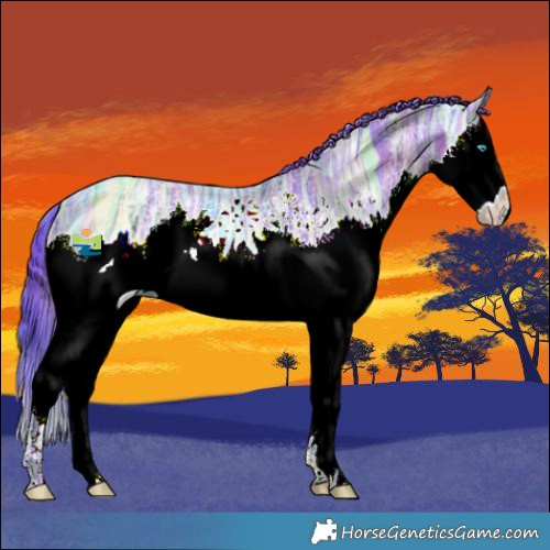 Horse Color:Nacre Watercolor Black Ice Splash