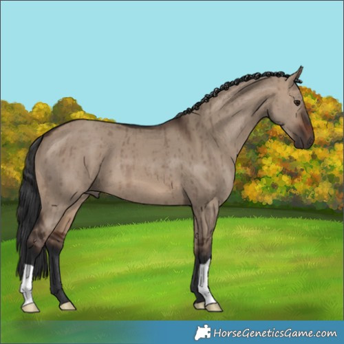 Horse Color:Brown Dun Brindle