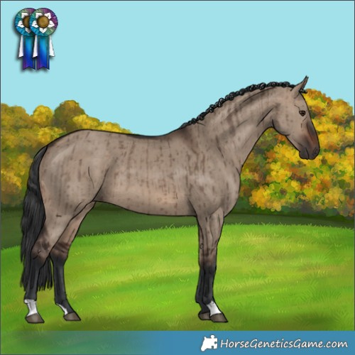 Horse Color:Brown Dun Brindle 