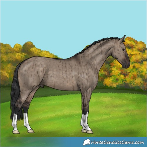 Horse Color:Brown Dun Brindle