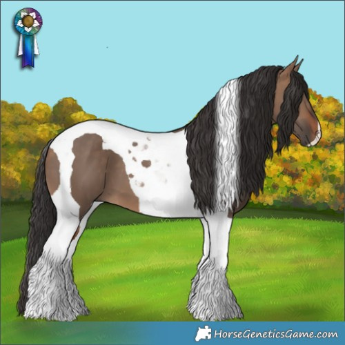Horse Color:Bay Dun Tobiano