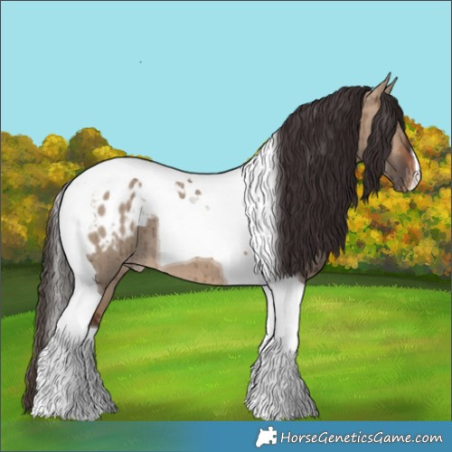 Horse Color:Bay Dun Tobiano Appaloosa Brindle