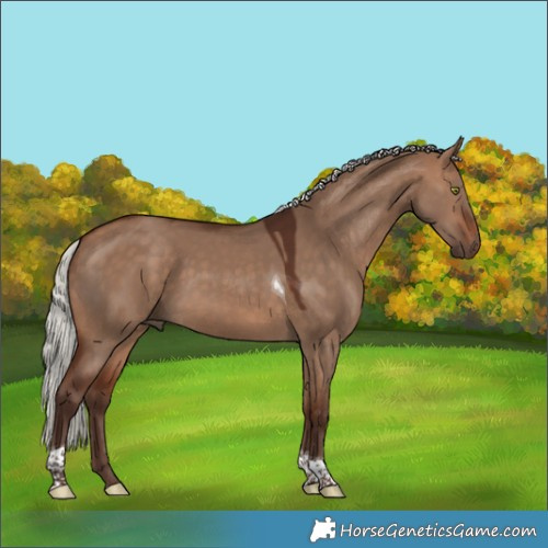 Horse Color:Silver Bay Dun Tobiano Rabicano