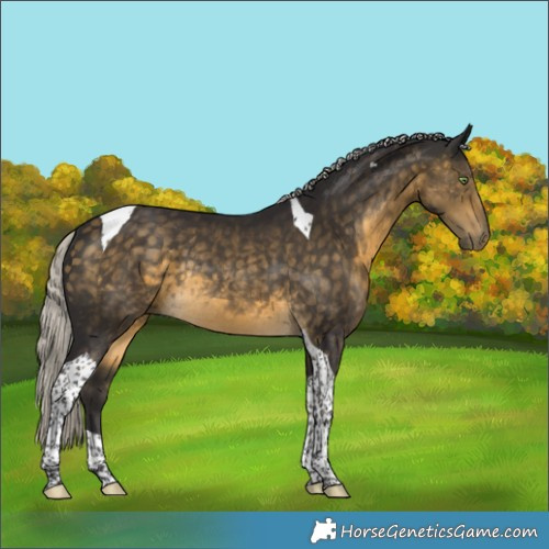 Horse Color:Silver Buckskin Tobiano Rabicano