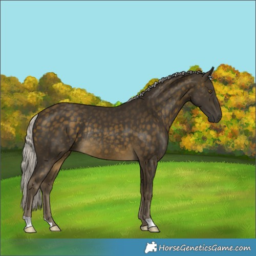 Horse Color:Silver Buckskin Rabicano