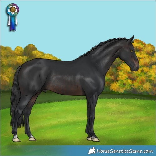 Horse Color:Brown Rabicano