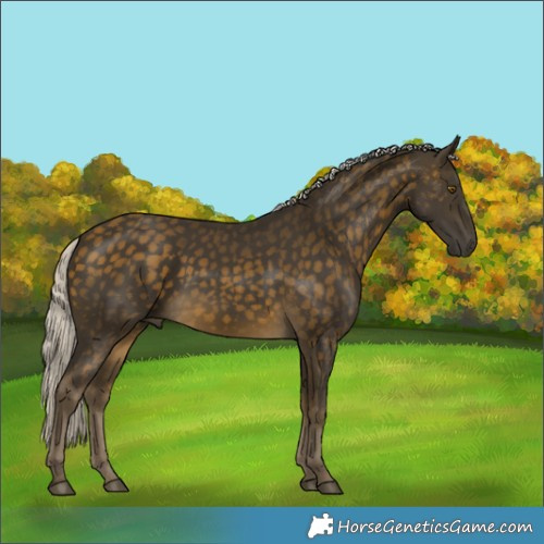 Horse Color:Silver Buckskin Rabicano