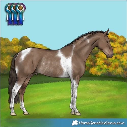 Horse Color:Liver Red Dun Tobiano Rabicano 