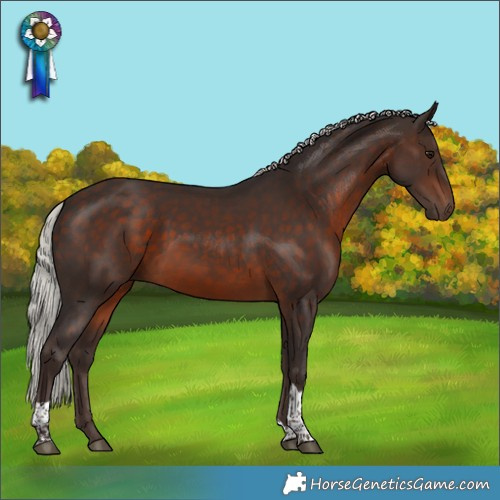 Horse Color:Silver Brown Tobiano Rabicano