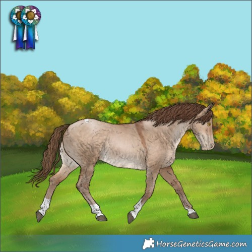 Horse Color:Brown Pearl Dun Tobiano