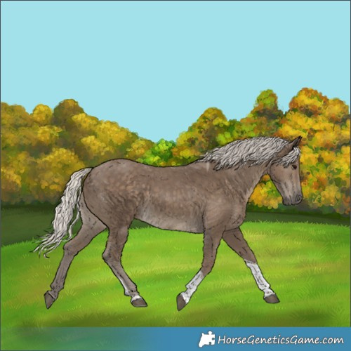 Horse Color:Silver Smoky Black Tobiano