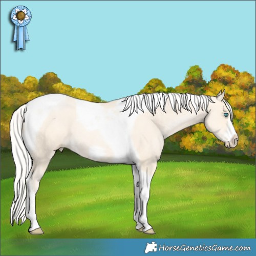 Horse Color:Silver Buckskin Pearl Tobiano Frame