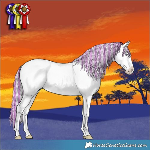 Horse Color:Painted Red Chinchilla Roan Splash 
