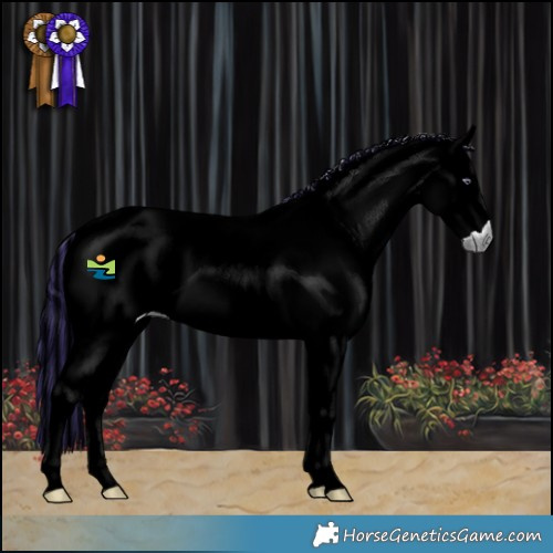 Horse Color:Painted Red Chinchilla Roan 